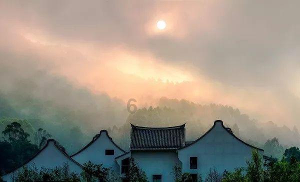追星刘德华致父跳海11年后单身杨丽娟过得怎样？