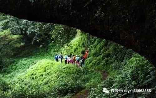 今日申购:北自科技