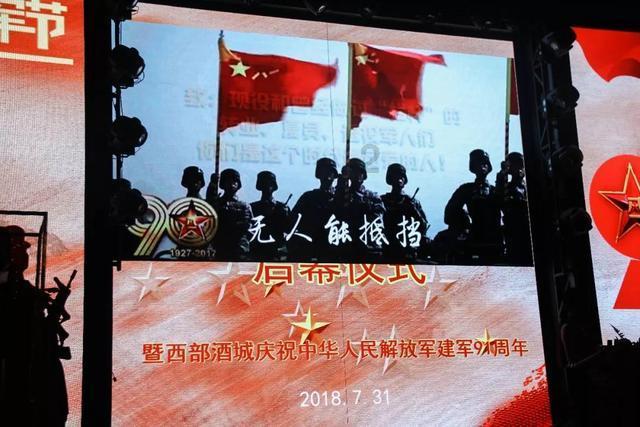 寻找萌宠松鼠